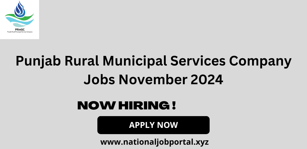 Punjab Rural Municipal Services Company Jobs November 2024